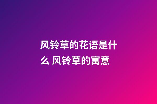 风铃草的花语是什么 风铃草的寓意